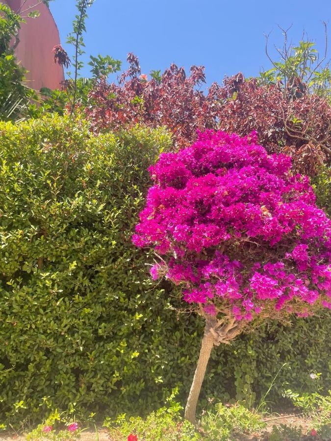 Villa Cana San Roque  Dış mekan fotoğraf